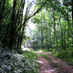 campagne du Morvan à Divali