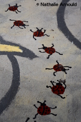 peinture de sol coccinelles