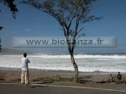 la Runion : plage sur l'Ocan Indien