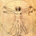 l'homme de Vitruve dessiné par Leonard de Vinci